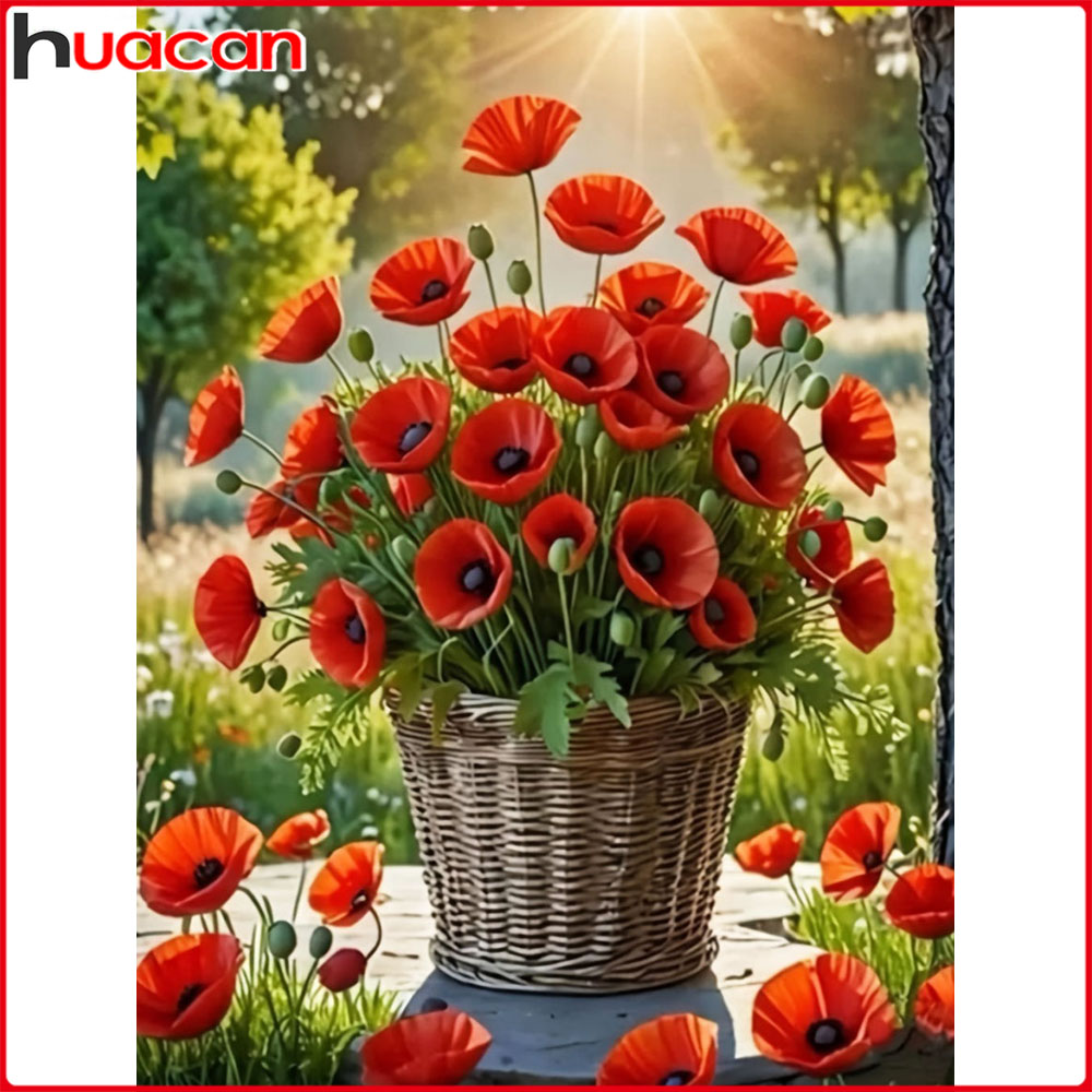 Huacan volledige diamant schil - Embroidery Daisy recensie en prijs